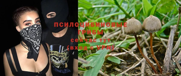 спиды Гусиноозёрск