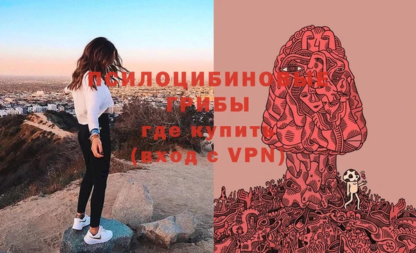 гидропоника Гусь-Хрустальный