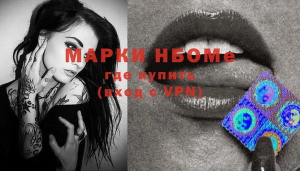 гидропоника Гусь-Хрустальный
