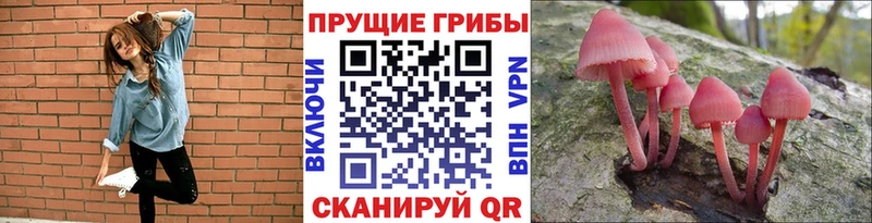 Псилоцибиновые грибы ЛСД  блэк спрут зеркало  Егорьевск 